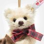 Steiff EAN 007651 teddybeer ornament close up gezicht