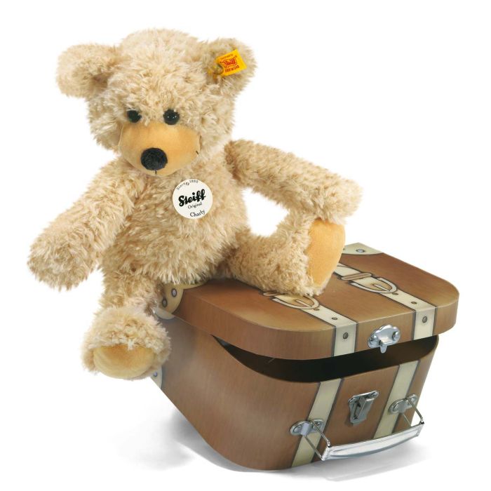 teddy in a suitcase