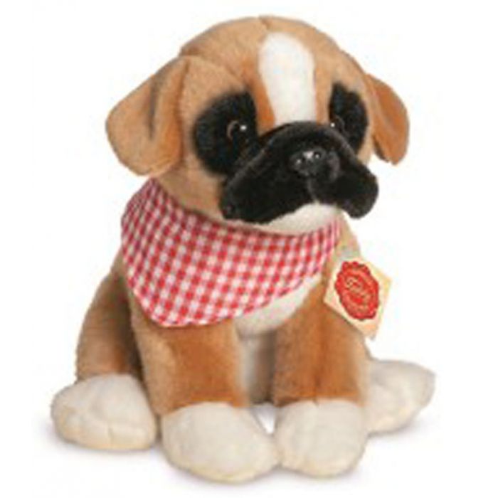 boxer dog teddy