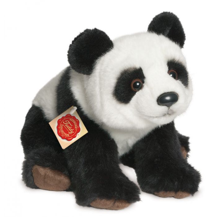 teddy panda price