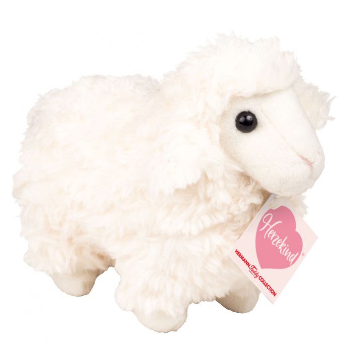 sheep teddy