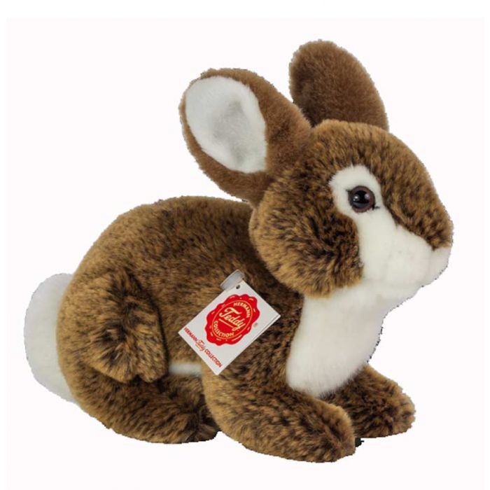 cottontail teddy