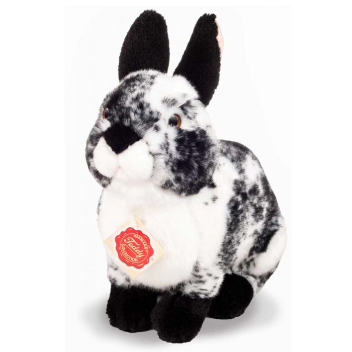 black rabbit teddy