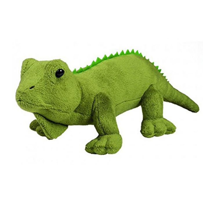 iguana teddy