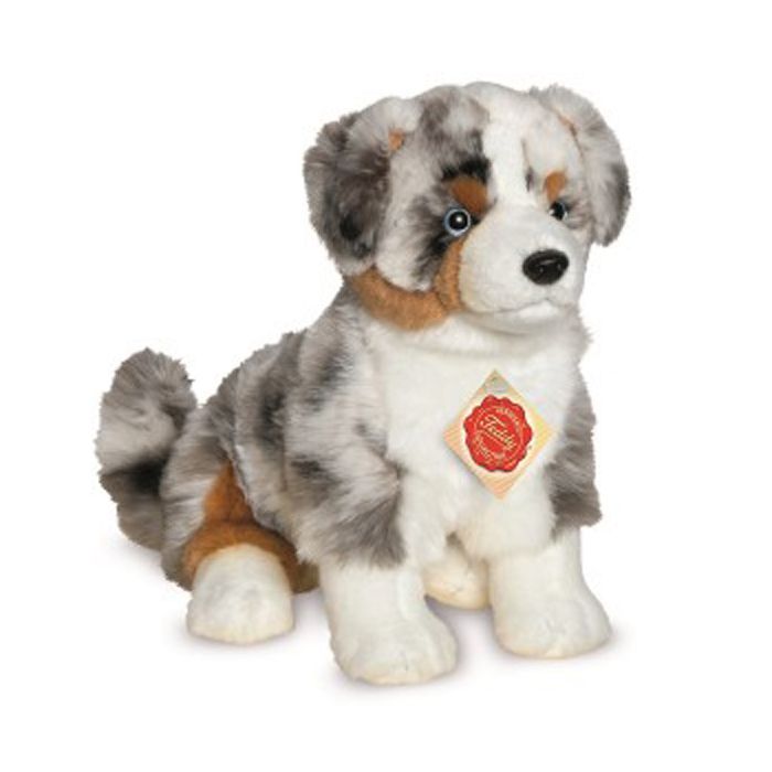 Australian clearance shepherd teddy