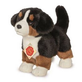 bernese mountain dog teddy